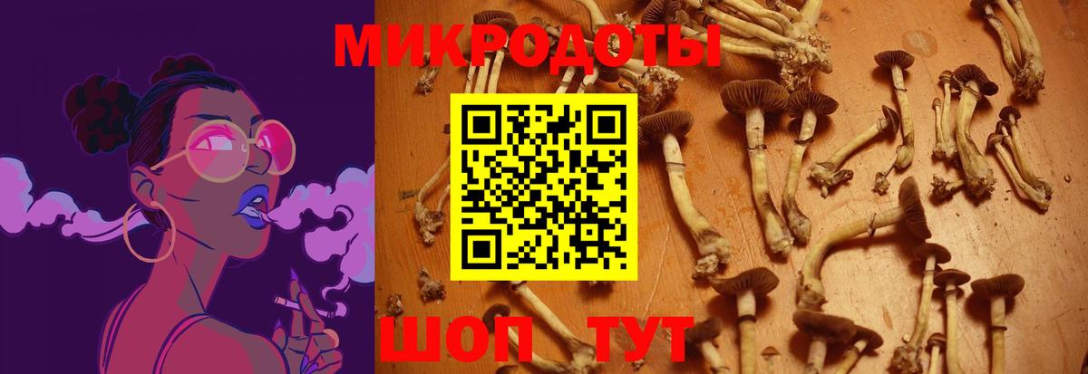 Псилоцибиновые грибы MAGIC MUSHROOMS Славгород