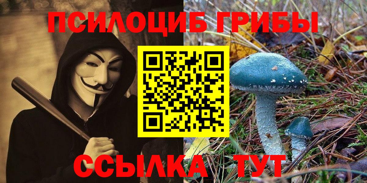 Галлюциногенные грибы мухоморы  Вход с VPN  Славгород  Псилоцибиновые грибы Psilocybe 