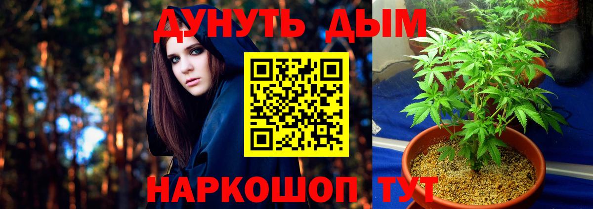 MDMA  Славгород  Мефедрон кристаллы  Альфа ПВП СОЛЬ   Кодеин  ГАШИШ  МАРИХУАНА  ГАШИШ  Вход с VPN 