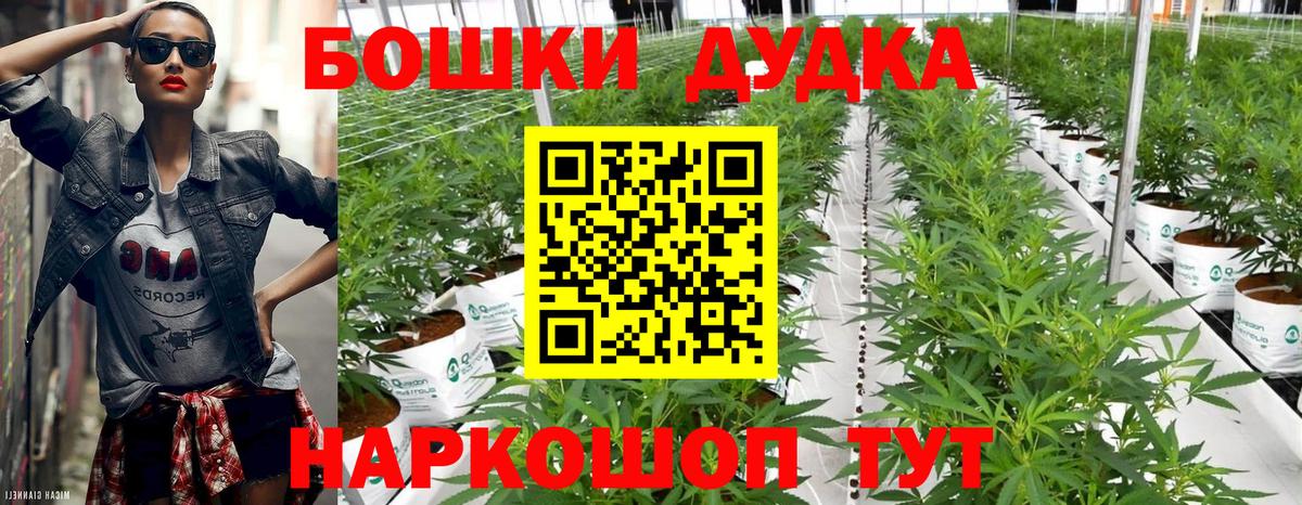 Конопля планчик  Бошки Шишки гибрид  Бошки марихуана VHQ  Вход с VPN  Славгород 